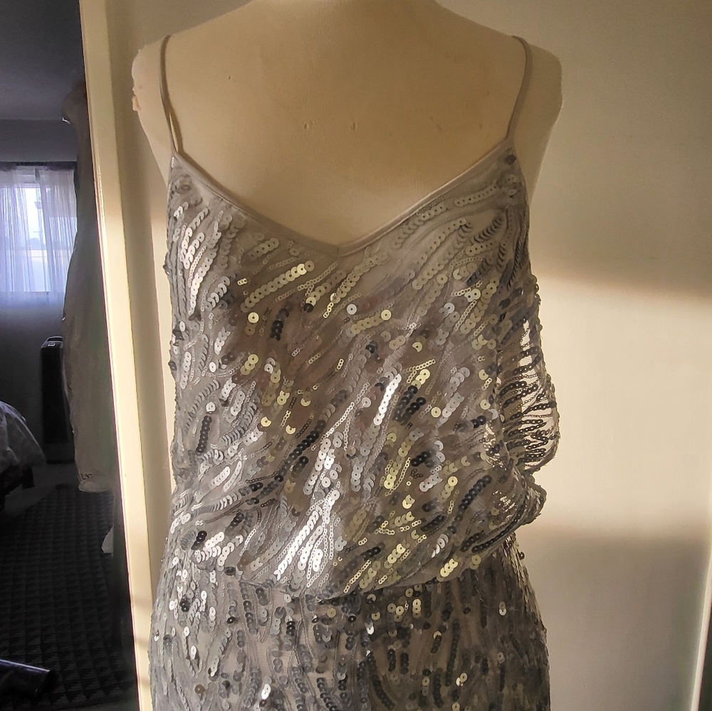 Silver Dress - Picture 2 of 3